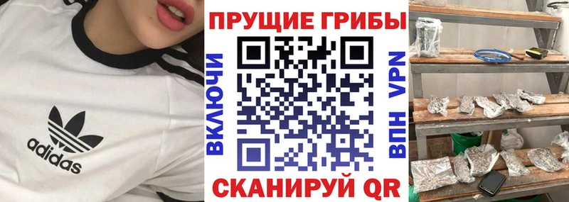 Галлюциногенные грибы Cubensis Певек